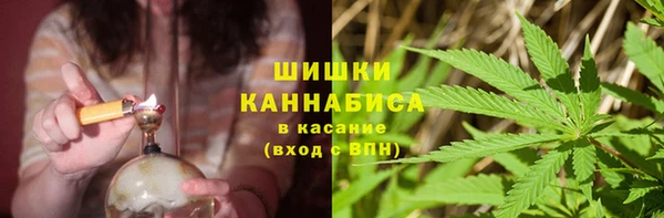 прущие крисы Абаза