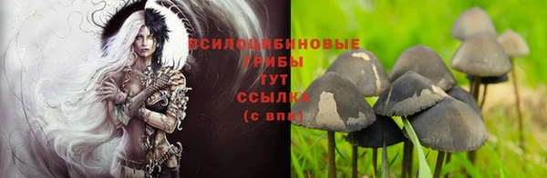 прущие крисы Абаза