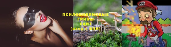 прущие крисы Абаза