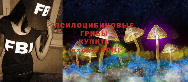 хмурый Няндома